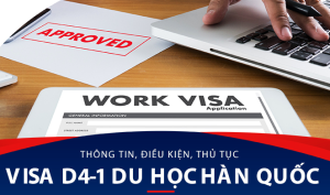 Tuyển Thực Tập Sinh NAUY; Lương 45 triệu – 60 triệu / tháng, 50 nam/ nữ tuổi từ 19-30, Tiếng Anh nghe nói IELTS 3.5 (không cần chứng chỉ)